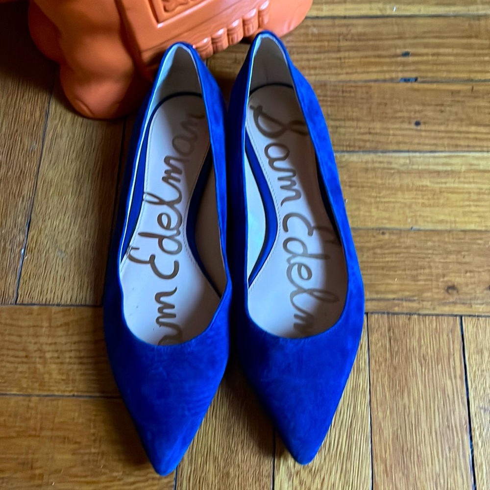 Sam Edelman Electric Blue Pointed Toe Flats